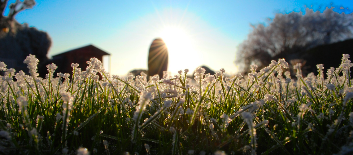 L’hiver a disparu ! L’hiver a disparu !