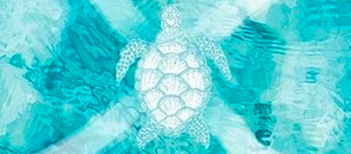 La voie de la tortue de Denise Gilland aux Editions Favre La voie de la tortue de Denise Gilland aux Editions Favre