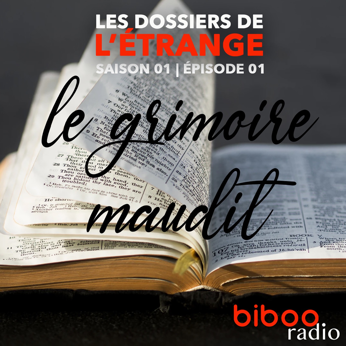 Le grimoire maudit