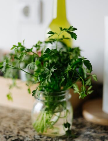 a glass jar filled with green plants on top of a counter