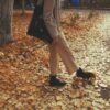 Blues de l&rsquo;automne : pourquoi le moral baisse et comment y remédier